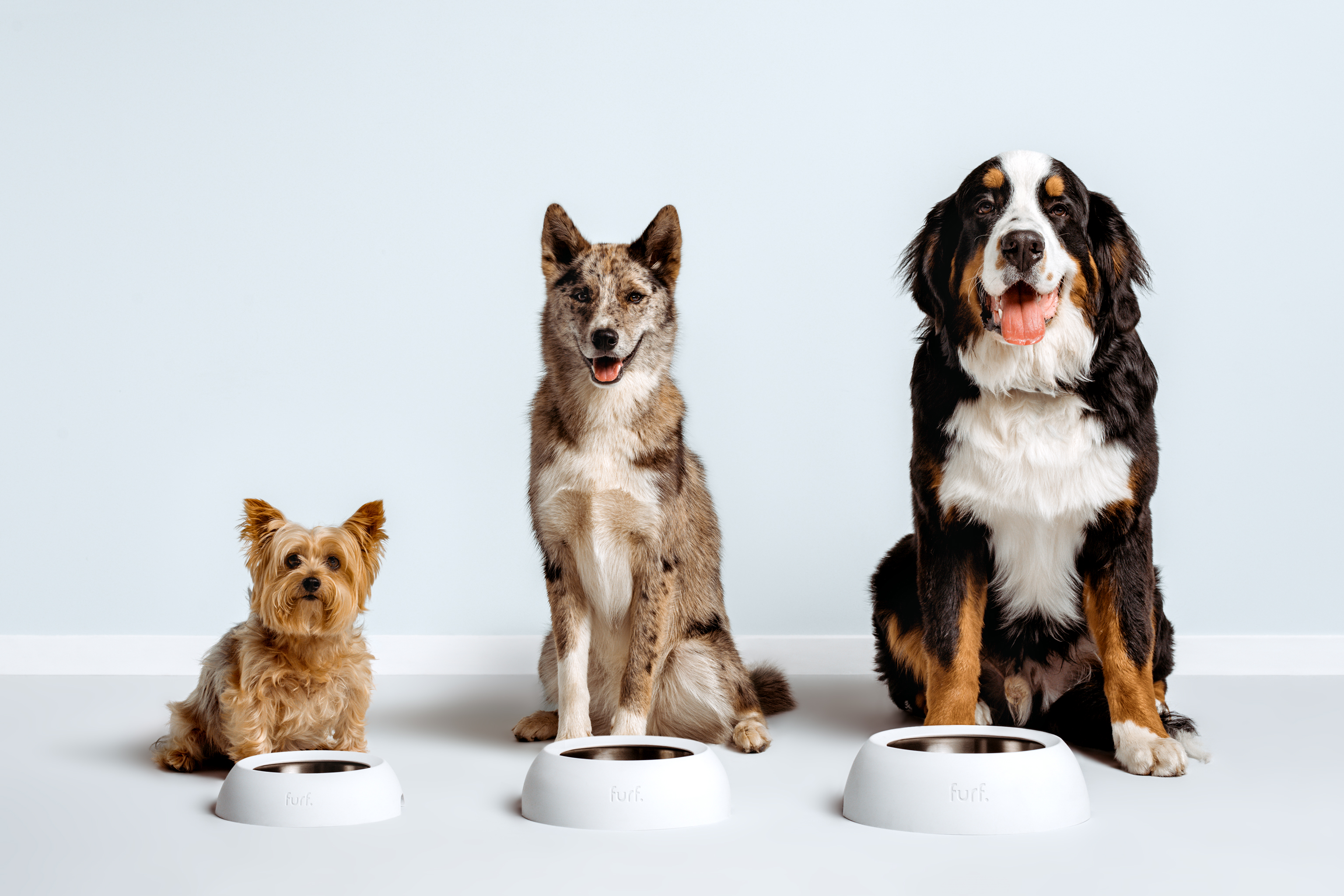 FURF pet products brand strategy and design by H+H Design studio